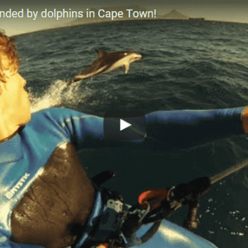 [:es]Navegando con delfines en Cape Town[:]